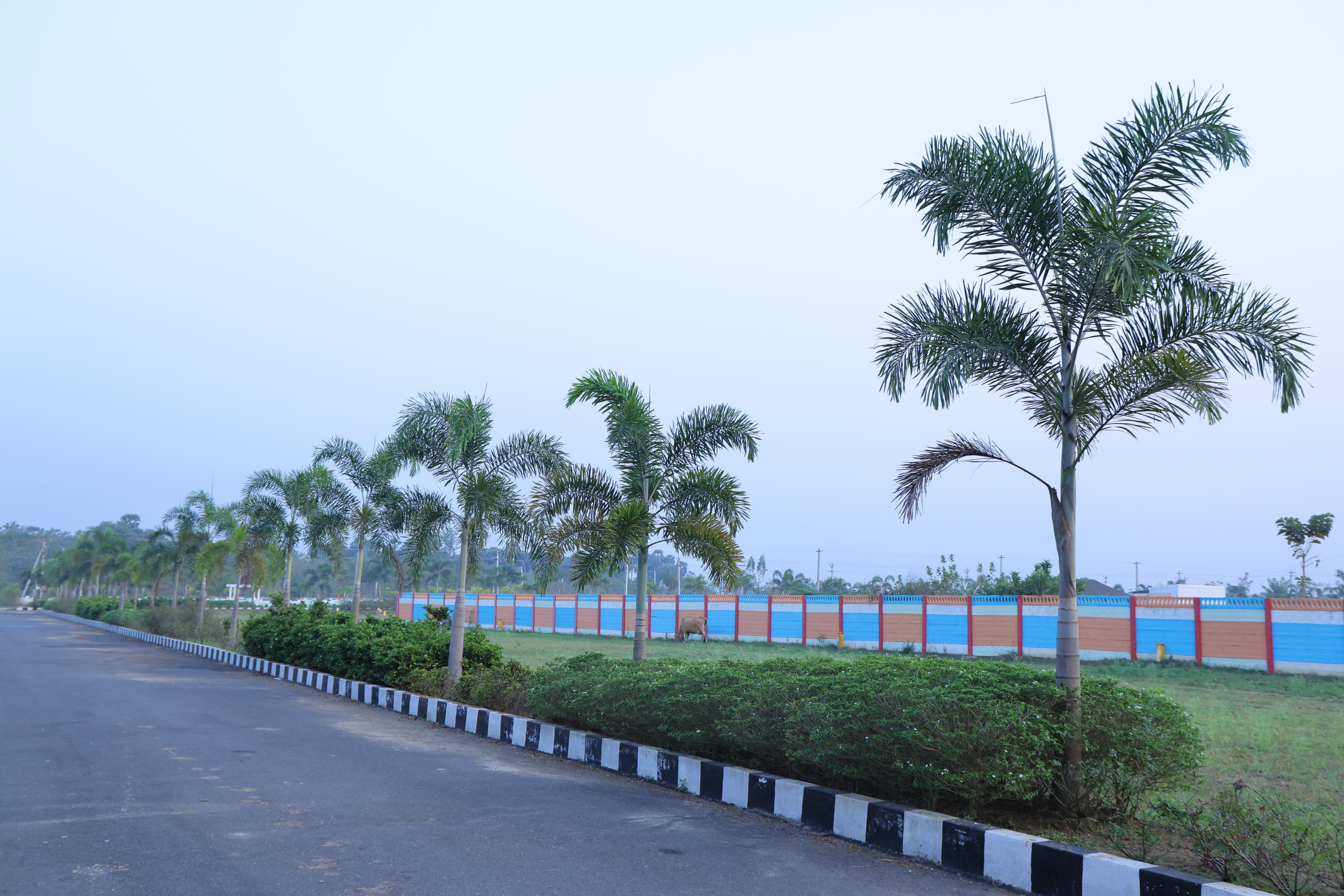 Residential Plot, Visakhapatnam