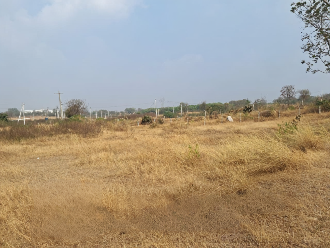 Residential Plot, Maisigandi, Telangana